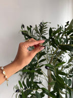 Bijoux d’oreille Lina